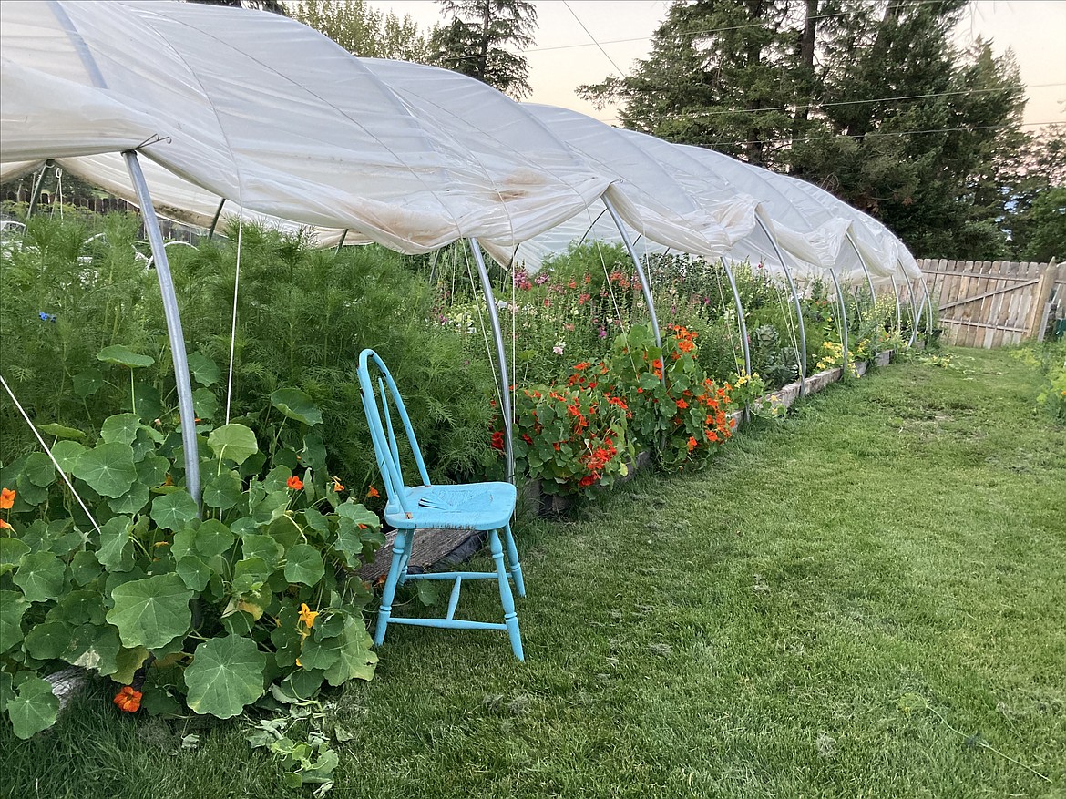 Flower gardens at Cranky Goose Hill Farm in Lakeside. (Courtesy photo)