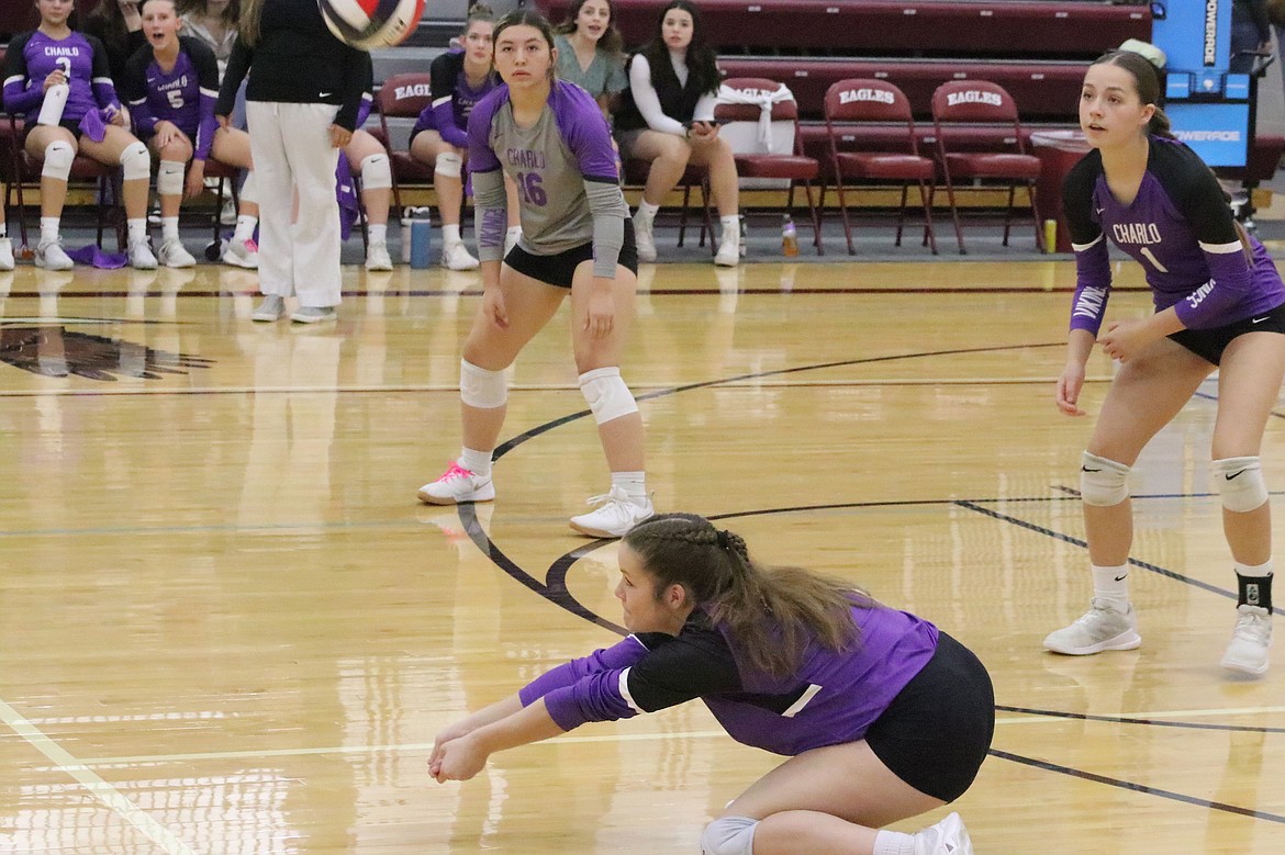 Charlo's Aubrey Sharbono goes for the dig during the Divisional tournament. (Michelle Sharbono photo)