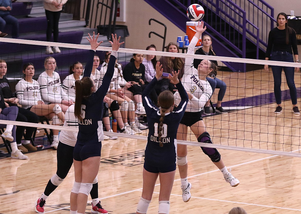 Polson's Mckenna Hanson hits past Dillon's blockers during the Divisional Tournament. (Bob Gunderson photo)