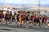 State cross country results