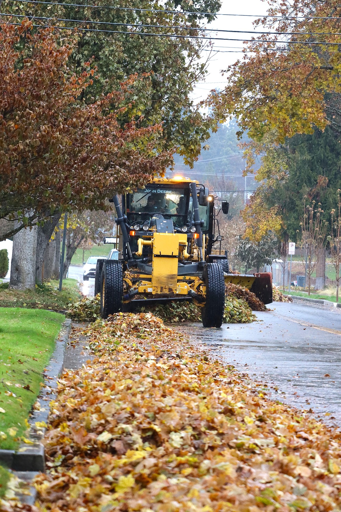Leaves are piled in the Fort Grounds neighborhood as the city began its annual Leaf Fest program on Monday.