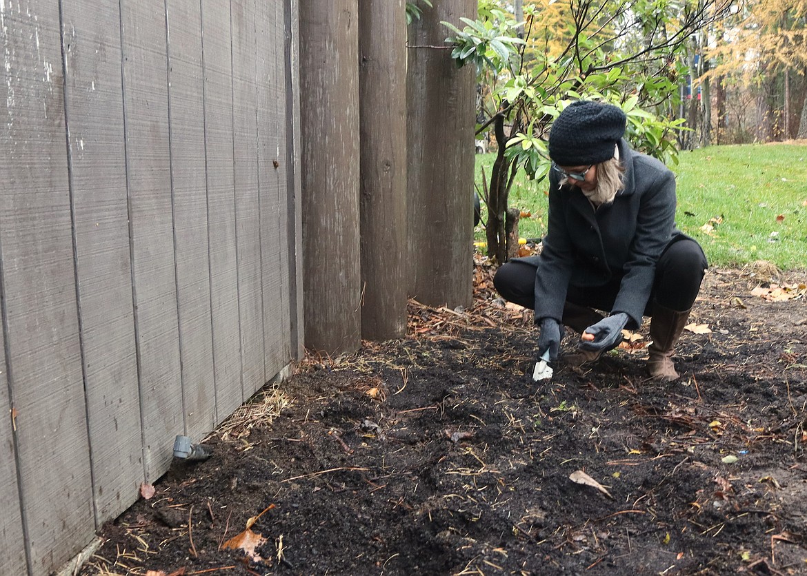 Kathy LeFlore plants a tulip bulb in a memorial garden at the Harbor Center sign on Hubbard Avenue on Monday in honor of the four slain University of Idaho students