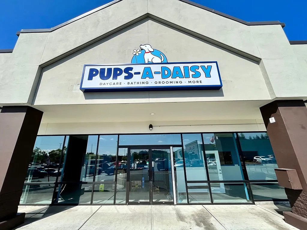 Staci Molzahn co-owns two restaurants, a catering service and a pet care service, Pups-A-Daisy, pictured. All four operations will be fundraising in the Seattle area through the end of the year.