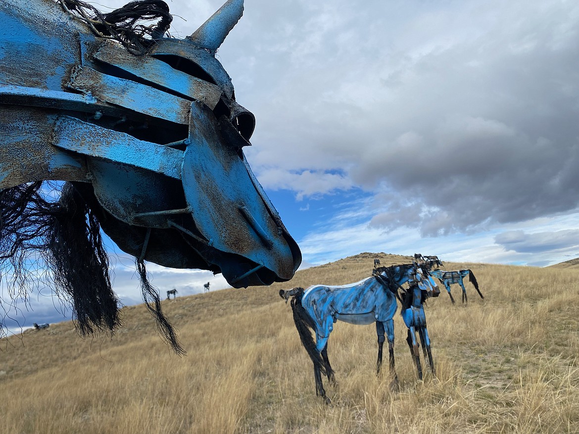 In September, “Bleu Horses” turned 10 years old, and Jim Dolan considers them his gift to the people of Montana. (Anna Paige/MTFP)