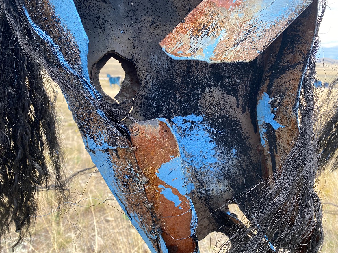 Every few months, Jim Dolan climbs the hill to check on his herd of “Bleu Horses.” He brushes out their tangled manes, and sometimes he’ll bring a couple of gallons of paint and “dress them up a little bit.” (Anna Paige/MTFP)