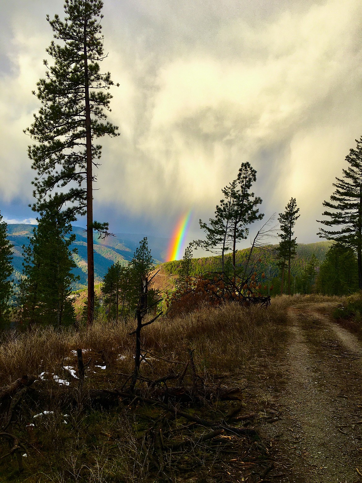 A vibrant rainbow appears the morning of the hunt. Where the colors touch the ridge is where I got my muley. (Mineral Independent/Amy Quinlivan)