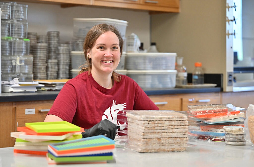 Washington State University's Katy Ayers has her eyes set on academic excellence.