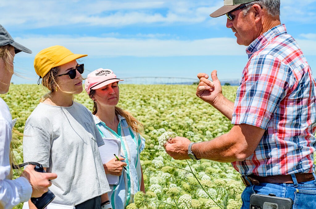 Experiencing ag at first hand | Basin Business Journal - Central ...