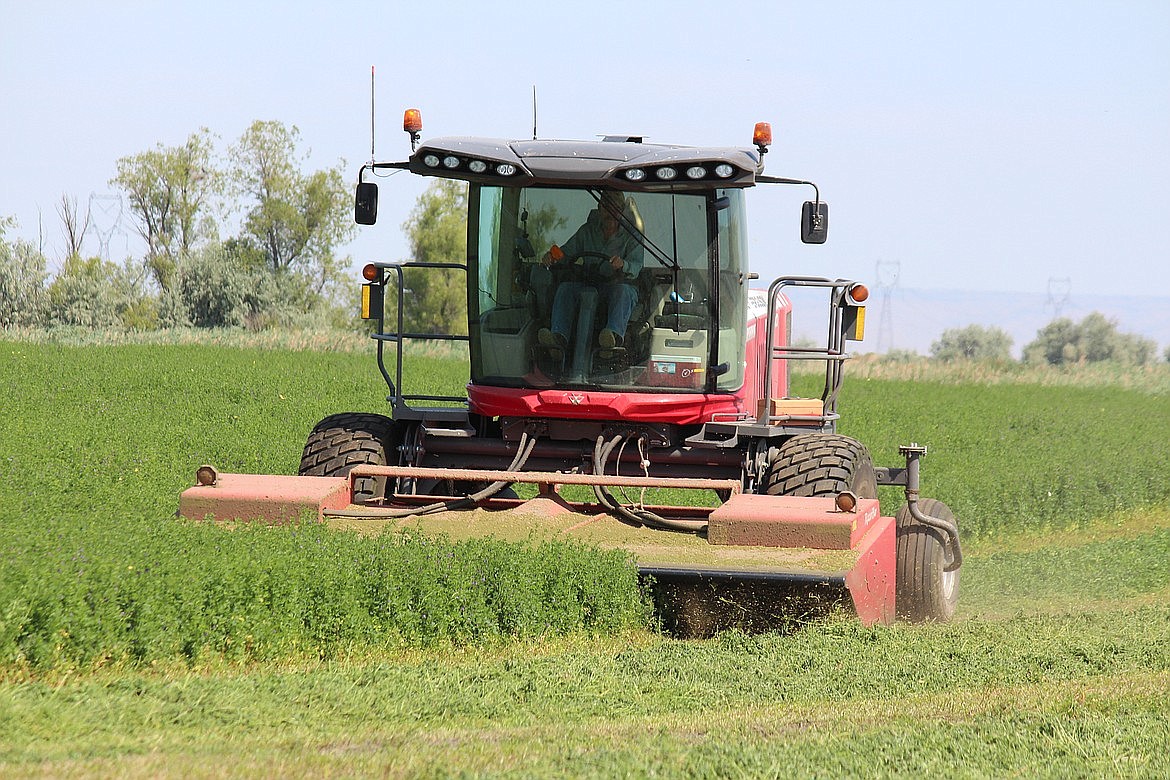 A farmer cuts alfalfa in a field near Royal City during a previous harvest. This year's harvest is pretty much complete with farmers switching over to maintaining equipment and prepping land for winter.