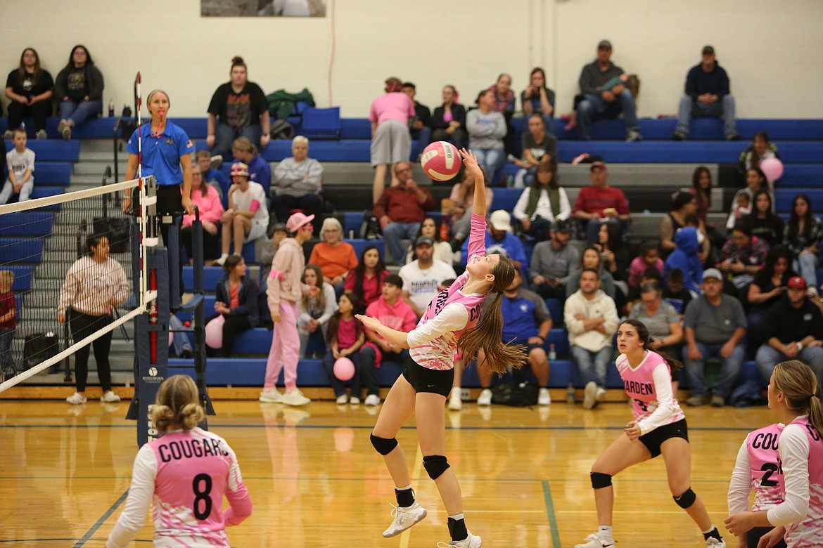 Warden junior Lauren Chamberlain, middle, received second-team all-league honors with the Cougar volleyball team this fall.