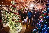Celebrations get the holiday season rolling in the Flathead Valley