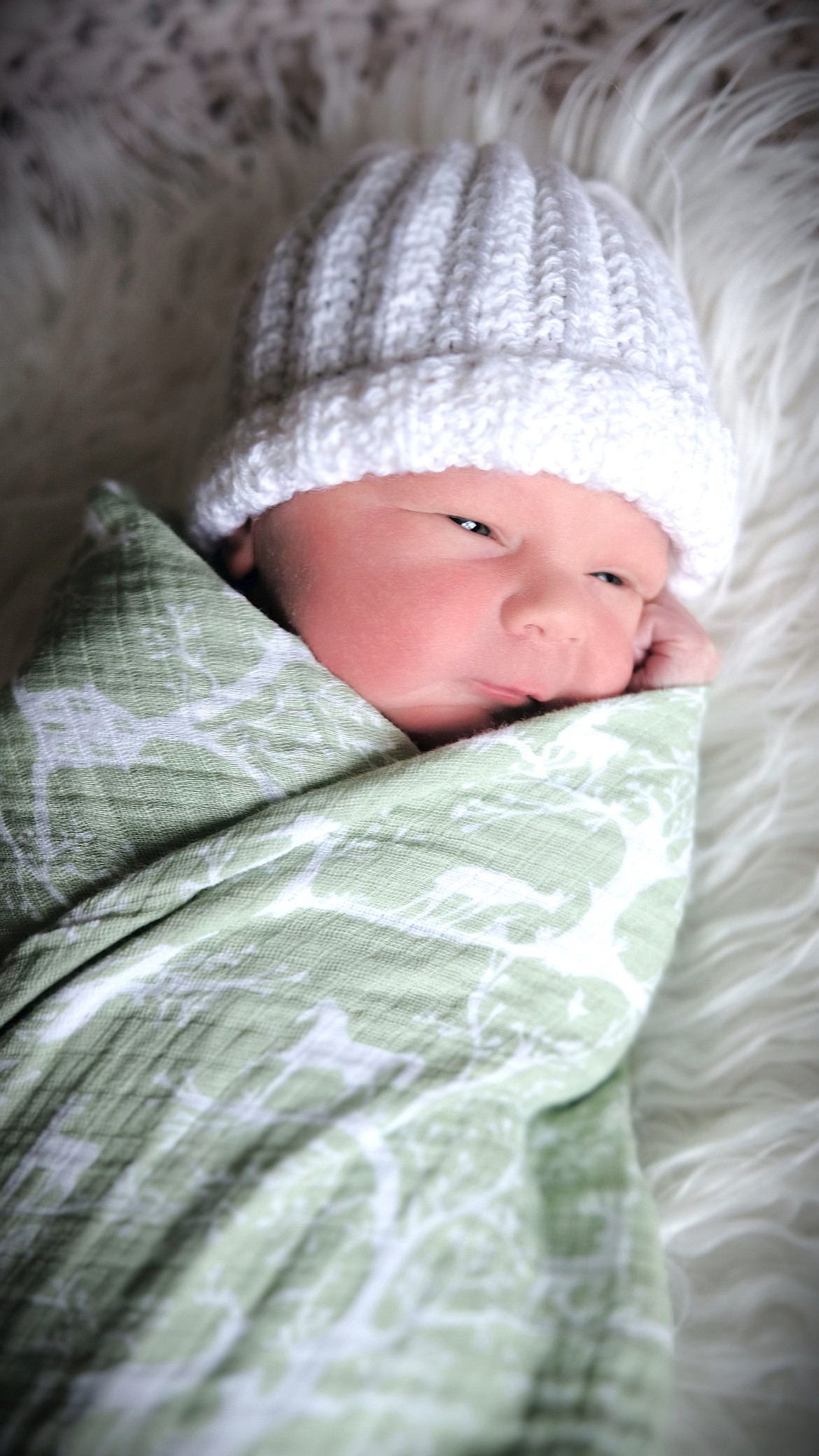 Lorenzo Rome Faoro was born Nov. 28, 2023, at the St. Luke New Beginnings Birth Center in Ronan. He measured 7 lbs., 3 oz. and 20 inches long. Parents are Giovanni and Hannah Faoro of Ronan. Paternal grandparents are Frank and Jeanine Faoro of North Bend, Wash., and maternal grandparents are Roger and Joy Hale of Cut Bank. Lorenzo joins his siblings, Dante, Matteo and Milana.