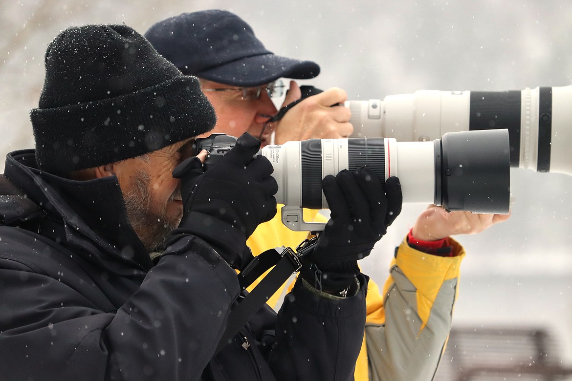 Steve Peak, left, and Kevin Dockter take pictures of a bald eagle on Friday near Higgens Point.