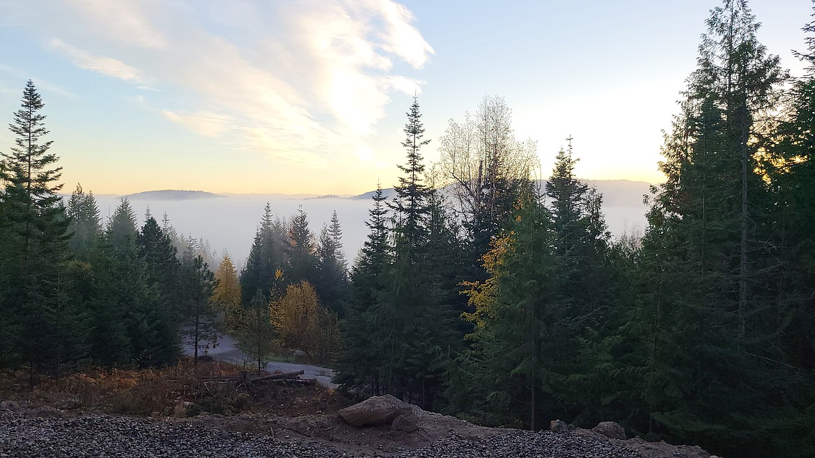 Tom Stolp shared this Best Shot of a "foggy river sunrise" over the Pend Oreille River in mid-October. If you have a photo that you took that you would like to see run as a Best Shot or I Took The Bee send it in to the Bonner County Daily Bee, P.O. Box 159, Sandpoint, Idaho, 83864; or drop them off at 310 Church St., Sandpoint. You may also email your pictures in to the Bonner County Daily Bee along with your name, caption information, hometown and phone number to bcdailybee@bonnercountydailybee.com.