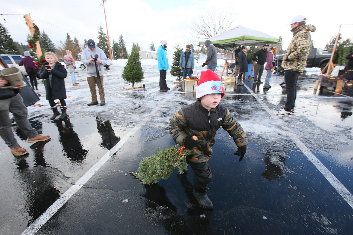 Haddon Hammer, 5, of Post Falls is a big help Saturday during All of Life Church's Giving Trees Christmas Tree Giveaway.