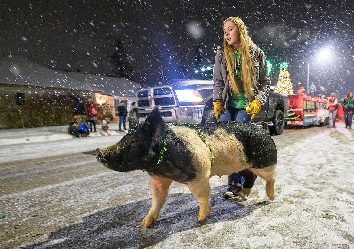 Teagan Flint guides her pig, Diesel, through the Night of Lights Parade.