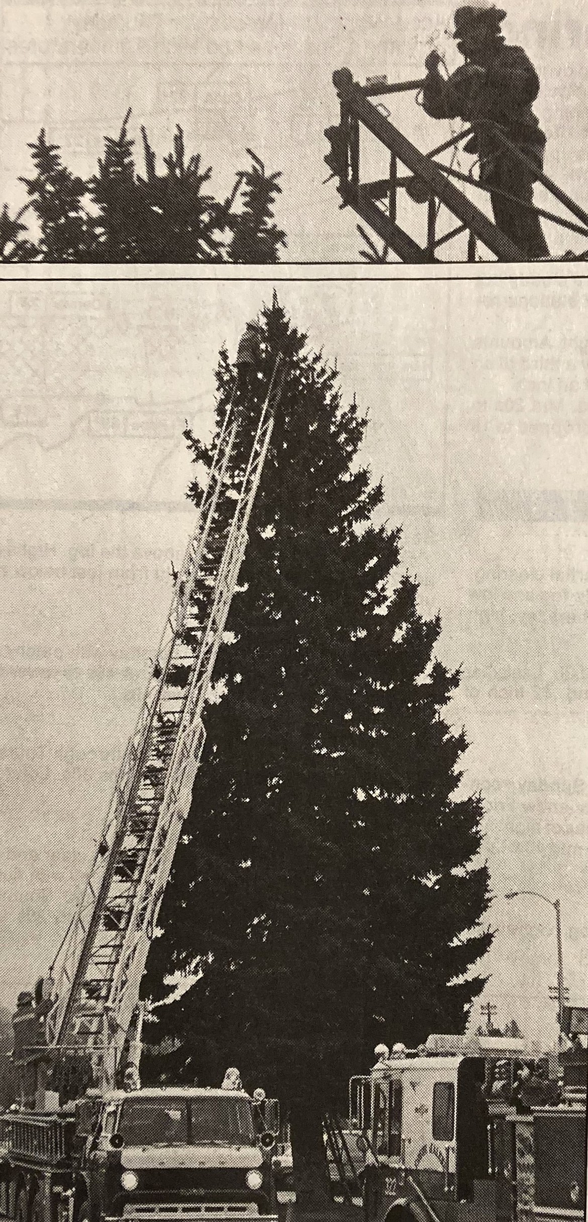 In December 1988, Ken Capaul hung lights on the Freedom Tree while other Coeur d’Alene firefighters helped from below.