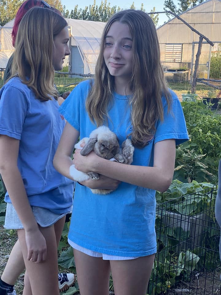 A visiting student at Cloudview Farm gets a bit overwhelmed by a bunny's cuteness. The farm offers visitors a chance to interact with animals and see how a farm operates.