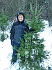 Giving trees