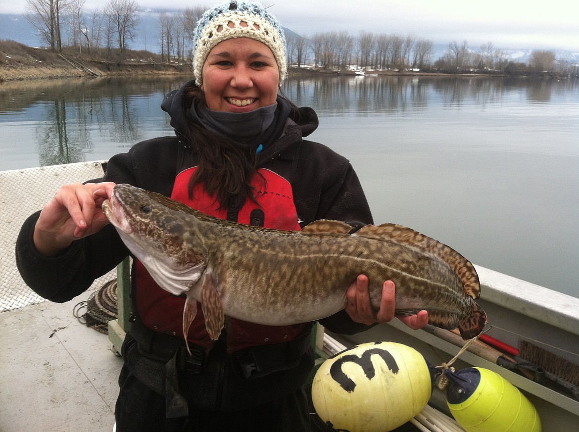 An angler holds up a burbot.