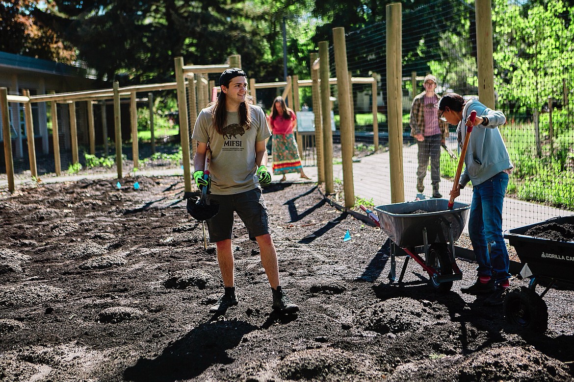 From left to right, Tanner Barney (Karuk), Jill Falcon Ramaker (Anishinaabe), Jacob Zimmerer, and Sonaa Monroy (Northern Cheyenne/Apsáalooke) plant seeds for Native crops at Montana State University on June 4, 2021. (Adrian Sanchez-Gonzalez/Montana State University)