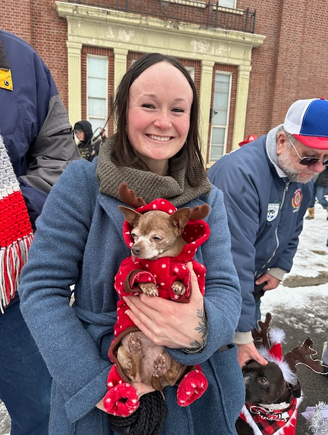 A small dog curls up in a reindeer costume as the pets and owners make their way through the streets of Wallace during the Paw Parade as part of as a part of the Home for the Holidays celebration.