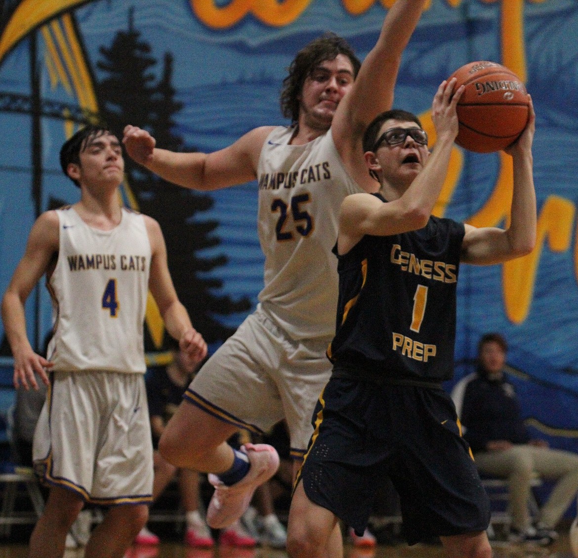 Basket clarks online