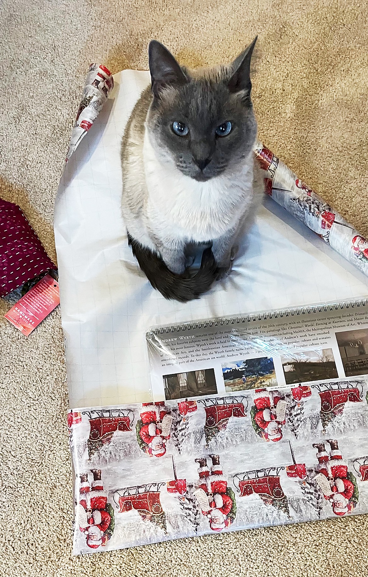 "Why it is difficult to wrap presents at my house," wrote Susan Drinkard in sharing this Best Shot. If you have a photo that you took that you would like to see run as a Best Shot or I Took The Bee send it to the Bonner County Daily Bee, P.O. Box 159, Sandpoint, Idaho, 83864; or drop them off at 310 Church St., Sandpoint. You may also email your pictures to the Bonner County Daily Bee along with your name, caption information, hometown, and phone number to news@bonnercountydailybee.com.