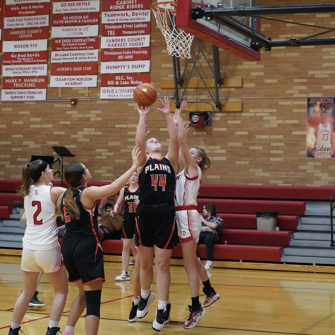 Plains junior post Lexi Deming goes up for two of her game high 10 points during the Trotters win over Noxon Saturday evening in Noxon.  (Courtesy photo)