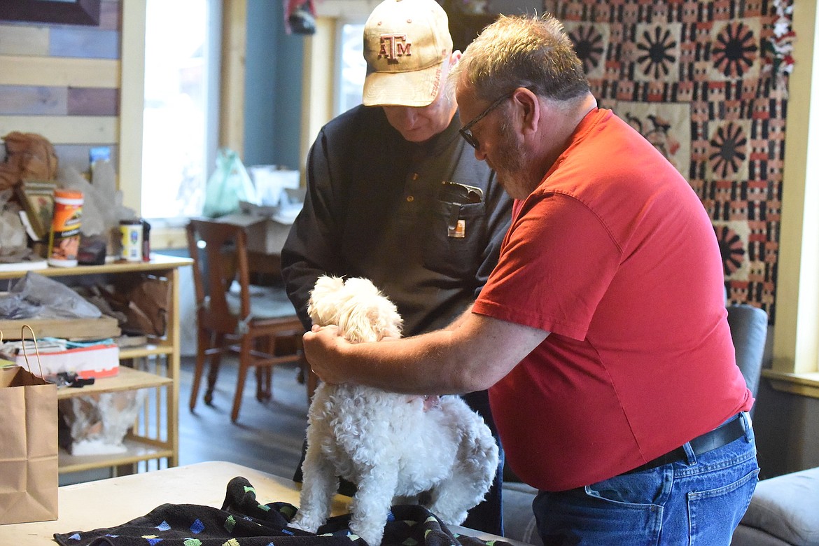 Veterinarian Dr. George White, left, gives 'Vincent' a shot while Libby resident Doug Turman lends a helping hand. White is a vet based in Heron who is now offering his services in the region. (Scott Shindledecker/The Western News)