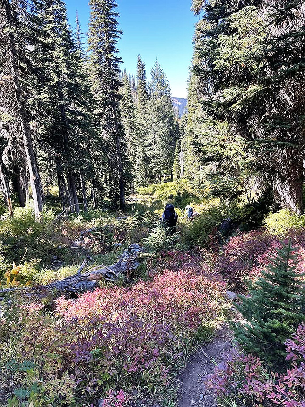 Arnie Wolff shared this Best Shot taken while hiking out of Gem Lake earlier this year. If you have a photo that you took that you would like to see run as a Best Shot or I Took The Bee send it to the Bonner County Daily Bee, P.O. Box 159, Sandpoint, Idaho, 83864; or drop them off at 310 Church St., Sandpoint. You may also email your pictures to the Bonner County Daily Bee along with your name, caption information, hometown, and phone number to news@bonnercountydailybee.com.