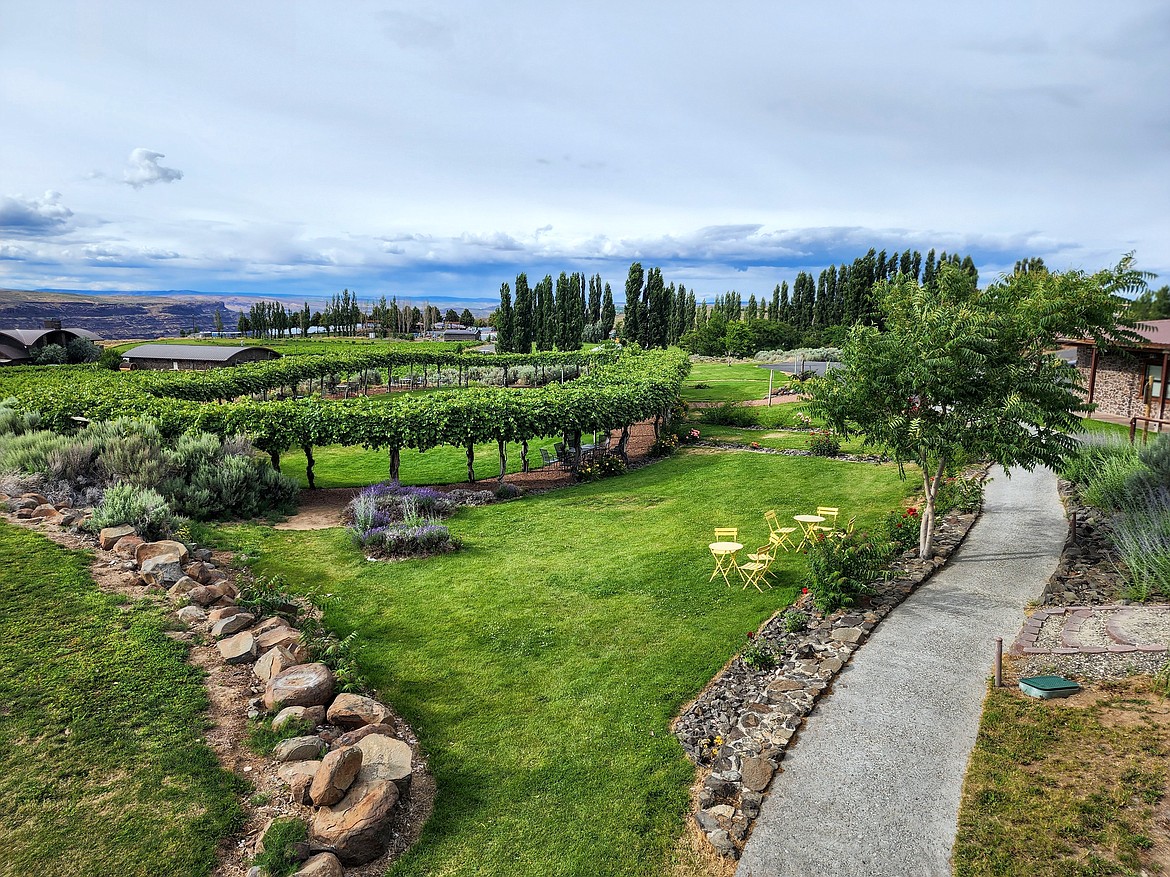 The plaza at Cave B Estate Winery offers a green oasis for visitors to the winery to enjoy.