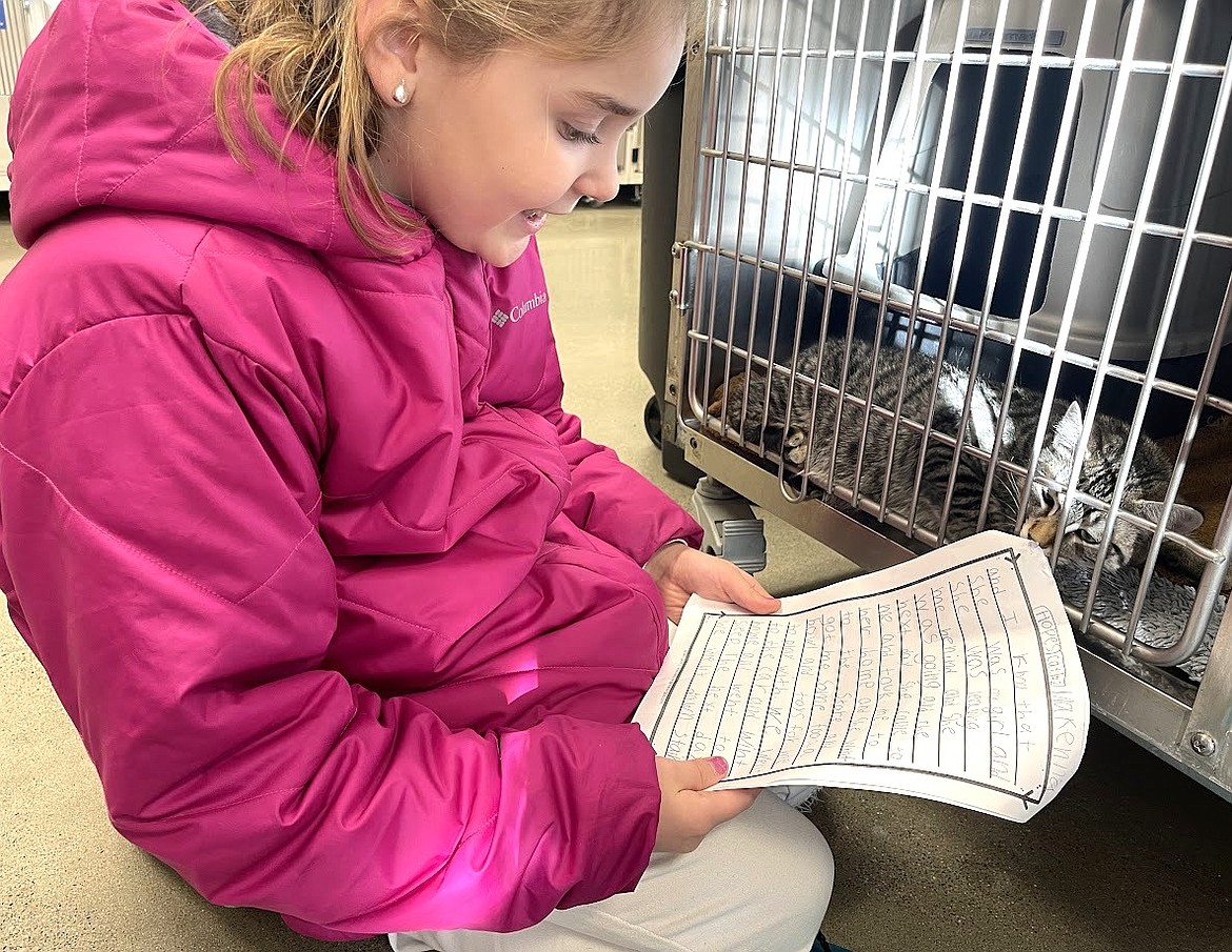 Makenna Buckallew, Northwest Expedition Academy student, reads to a cat at Companions Animal Center.