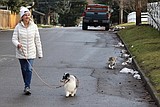 Meandering miles of meow