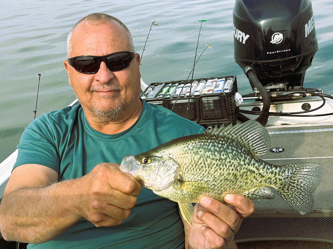 Local angler, Gary Thompson, with a big Potholes Reservoir crappie in September.