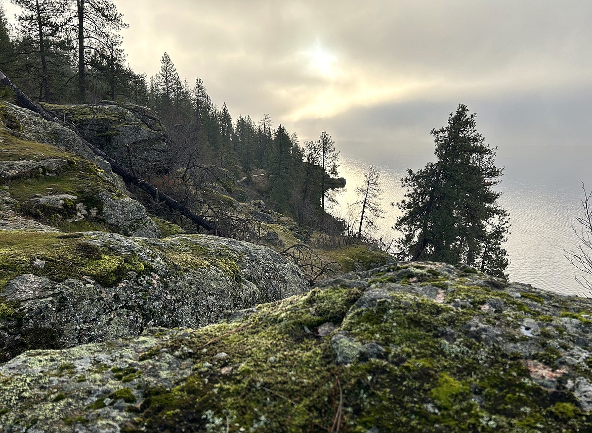 The trails of Tubbs Hill lead to views of Lake Coeur d'Alene.