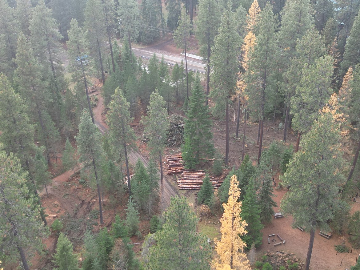 Log piles at Camp Easton are seen mid-November amid logging operations that have caused concern for some community members.