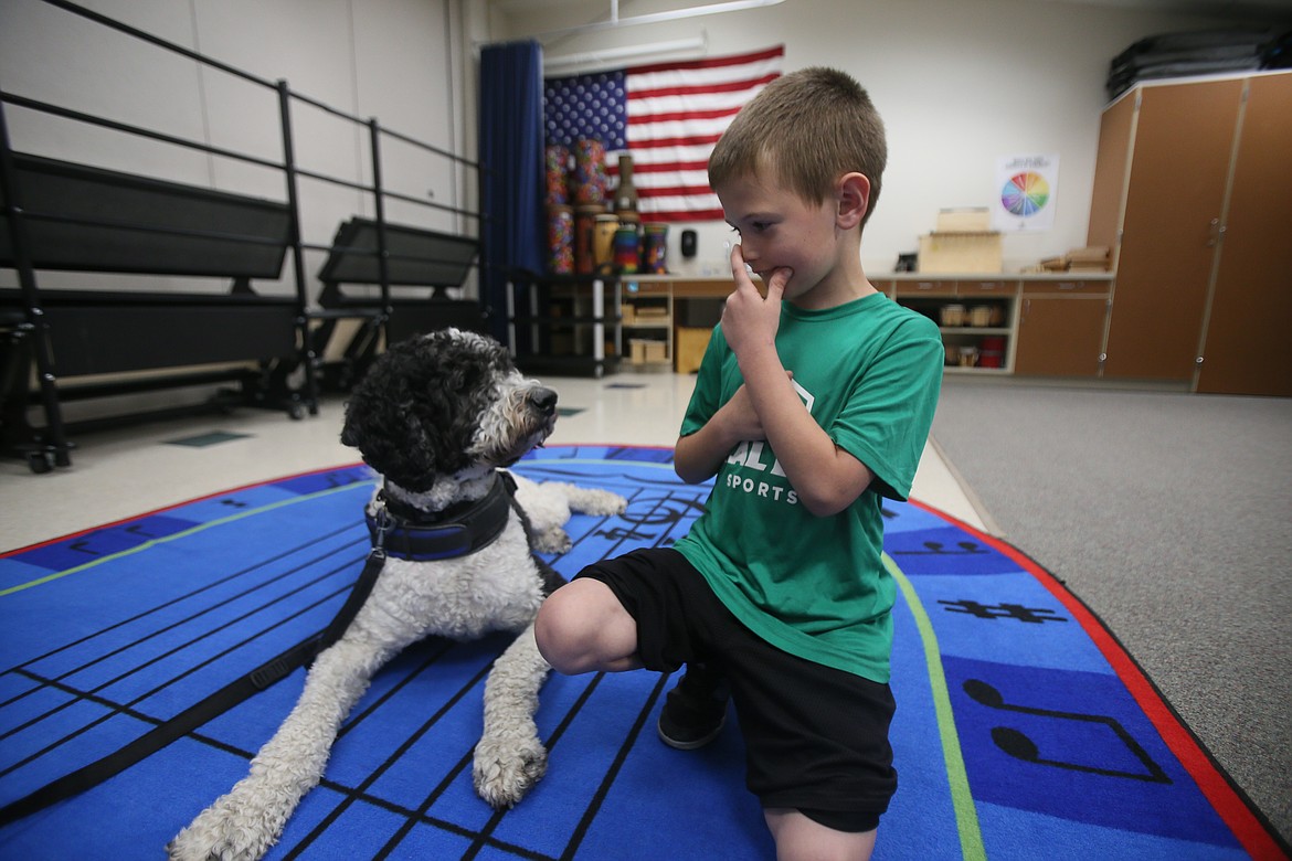 Coeur d'Alene School District facility dog Blue pays attention May 23 as he works with Atlas Elementary School first grader Matthew Shandy. Blue was the first to pilot a facility dog program when he was a pup in 2019. The program has since expanded.