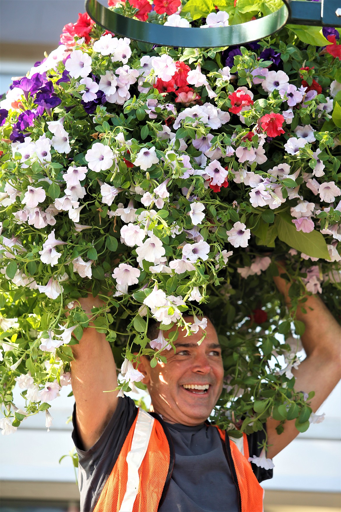 Adam Graves hangs a flower basket on Sherman Avenue in May.
BILL BULEY/Press
