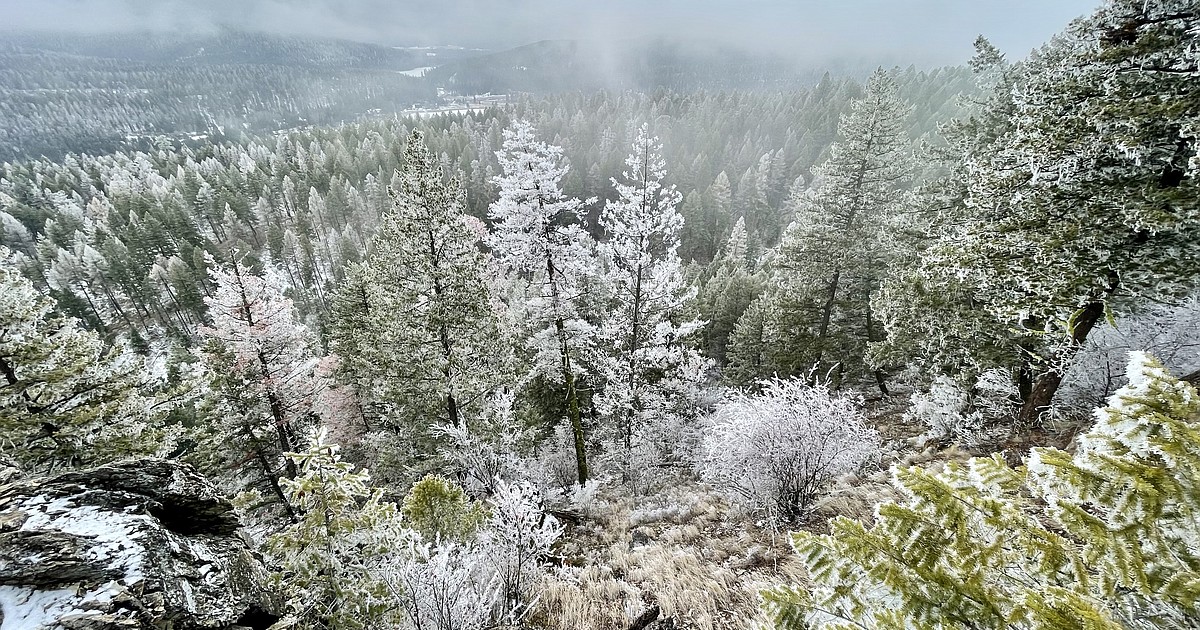 Kalispell's December snowfall near alltime low Daily Inter Lake