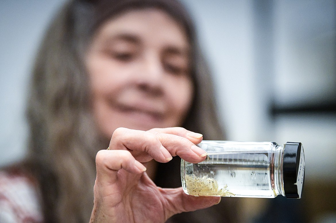 Research assistant Marcy Mead holds a jar of mysis shrimp specimens in the Invertebrate Lab at Flathead Lake Biological Station on Wednesday, Jan. 3. (Casey Kreider/Daily Inter Lake)