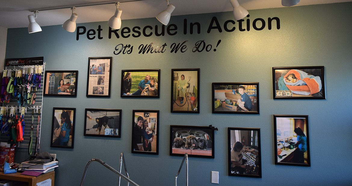 A wall of photos in the Adams County Pet Rescue main office depicting animals, staff and volunteers with the shelter.