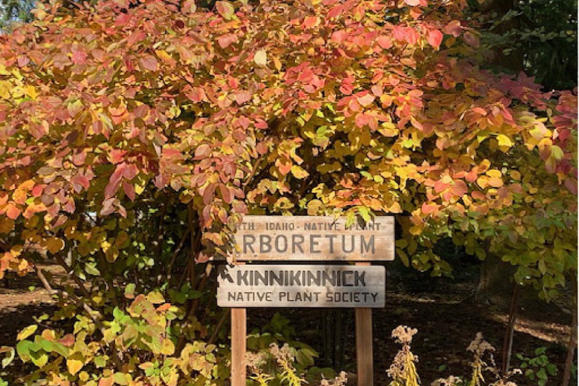 The North Idaho Native Plant Arboretum is celebrating its 25th anniversary.