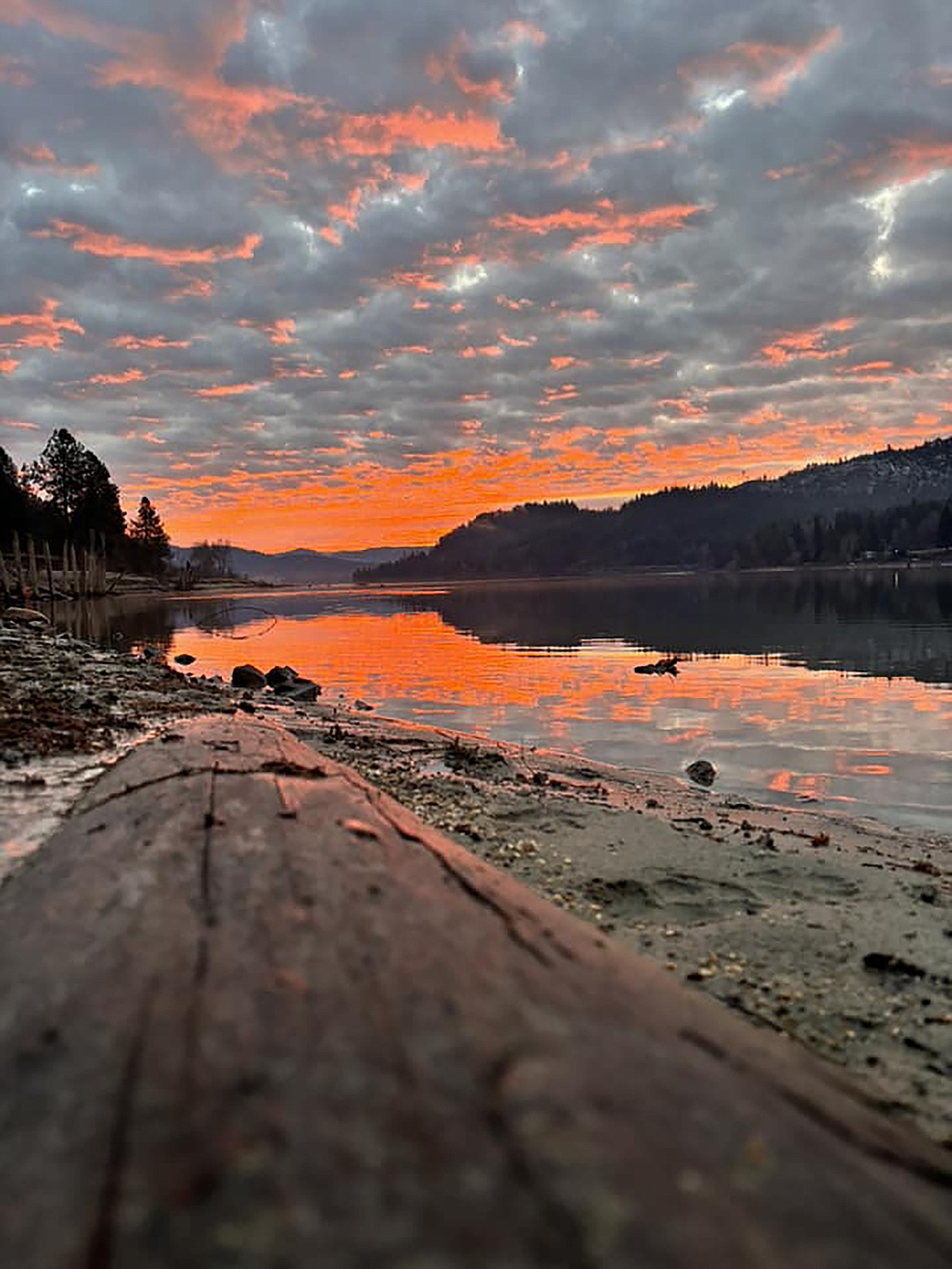 Nick Tucker captured this Best Shot taken in the Priest River area and shared it in response to a Daily Bee Facebook post asking readers to share their favorite recent photo. If you have a photo that you took that you would like to see run as a Best Shot or I Took The Bee send it in to the Bonner County Daily Bee, P.O. Box 159, Sandpoint, Idaho, 83864; or drop them off at 310 Church St., Sandpoint. You may also email your pictures to the Bonner County Daily Bee along with your name, caption information, hometown, and phone number to bcdailybee@bonnercountydailybee.com.