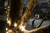 Sprawling storm wallops US with tornado reports, damage and heavy snow, closing roads and schools