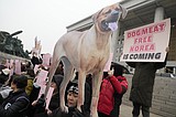 South Korea’s parliament passes landmark ban on production and sales of dog meat
