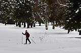 Nordic skiing trails open in Whitefish, Bigfork, Columbia Falls