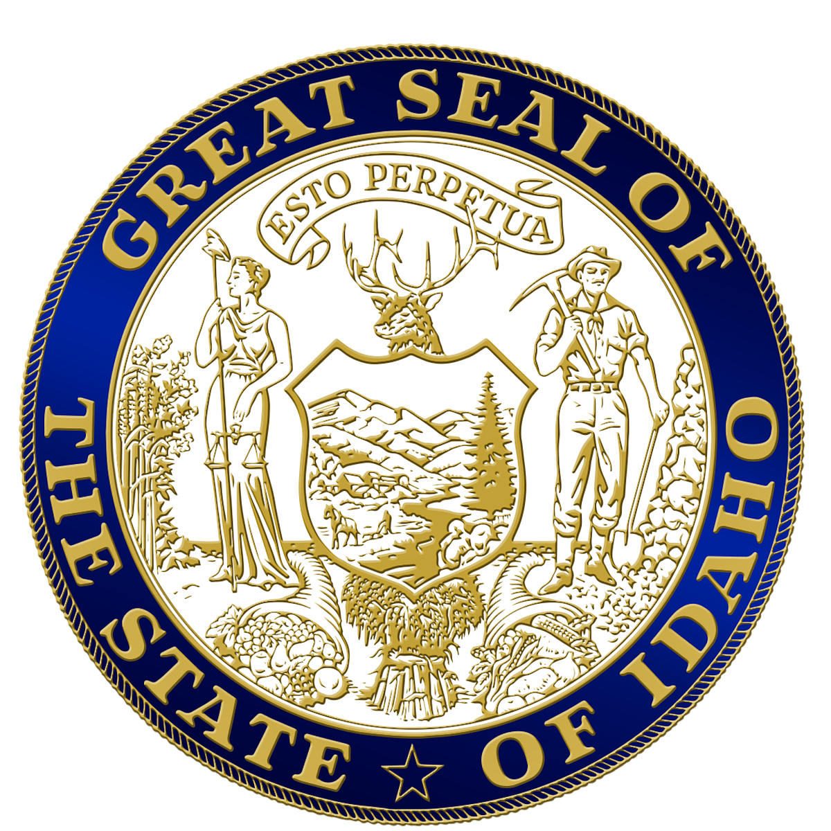 State seeks input on Idaho abortion ballot initiative