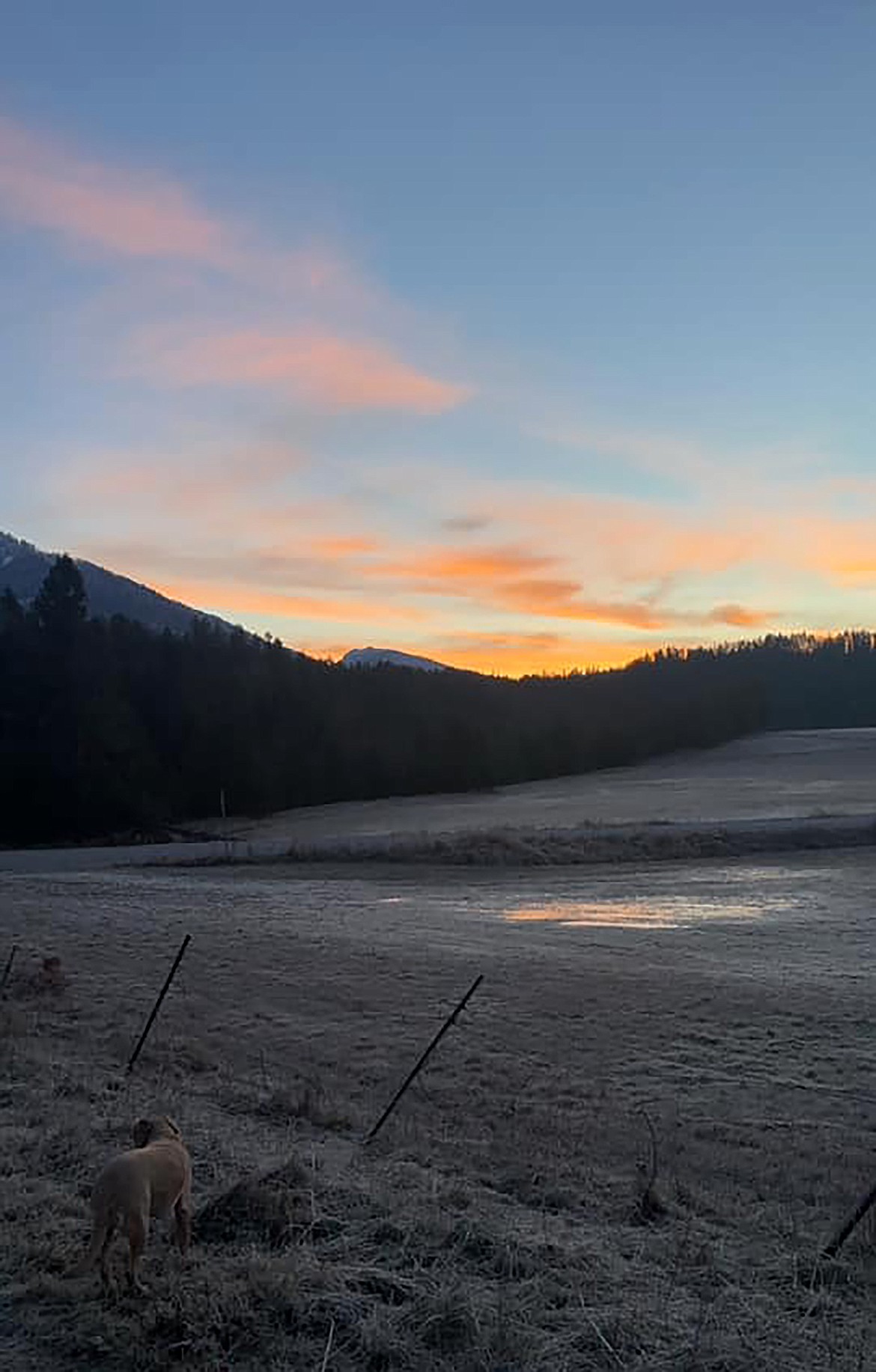 Cassie Hagemann shared this Best Shot taken of the sunrise on Christmas morning. If you have a photo that you took that you would like to see run as a Best Shot or I Took The Bee send it in to the Bonner County Daily Bee, P.O. Box 159, Sandpoint, Idaho, 83864; or drop them off at 310 Church St., Sandpoint. You may also email your pictures to the Bonner County Daily Bee along with your name, caption information, hometown, and phone number to bcdailybee@bonnercountydailybee.com.