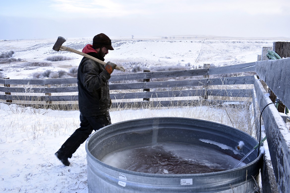 Tyson Ropp approaches a stock tank to break through the ice in a corral at the Double Cross Cattle Company ranch, Friday, Jan. 12, 2024, south of Roberts, Mont. The tank freezes frequently during cold snaps such as the one sweeping the region on Friday. (AP Photo/Matthew Brown)